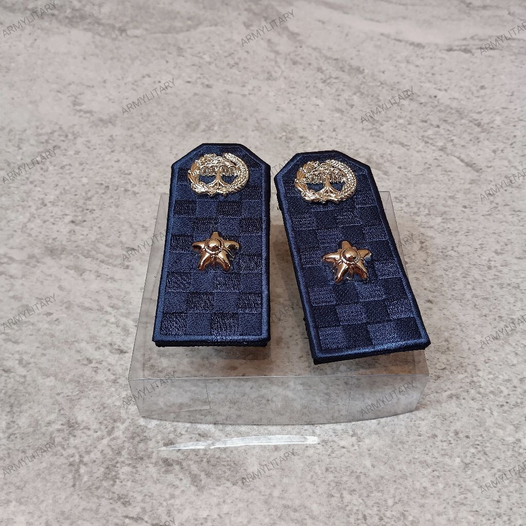 pangkat lurah/kades pdh biru