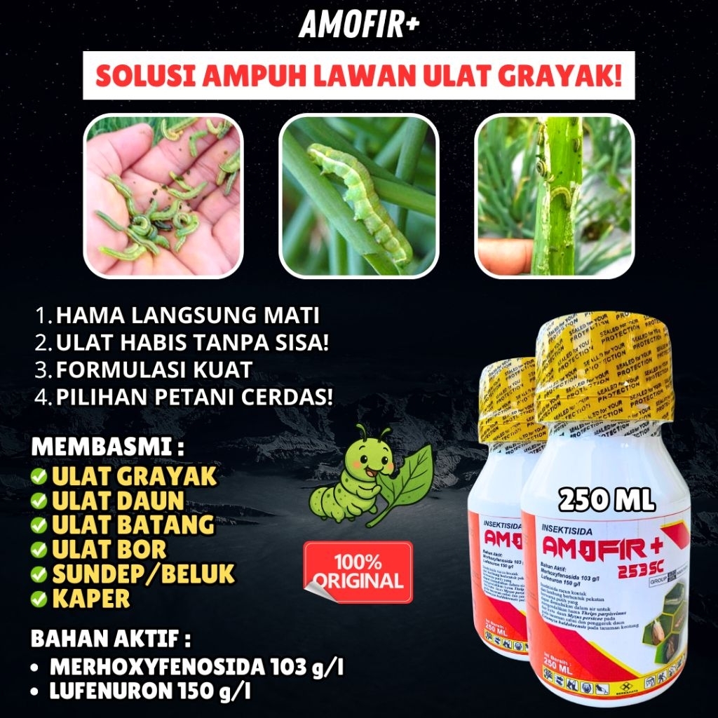SIAP LAWAN ULAT  Insektisida Sistemik Amofir+ Pembasmi Hama Ulat Grayak Ulat Daun Penggerek Batang A