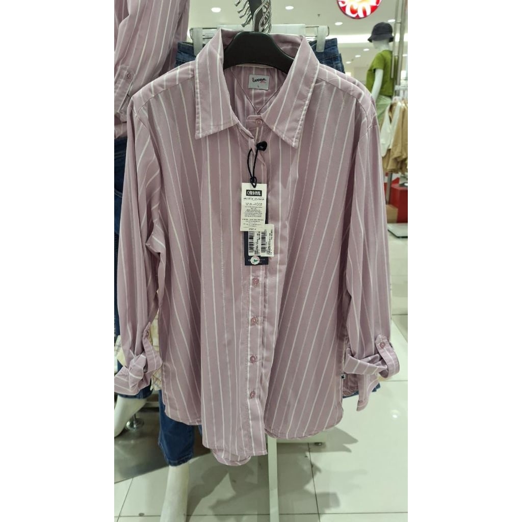 Cardinal Girl Kemeja Wanita Original