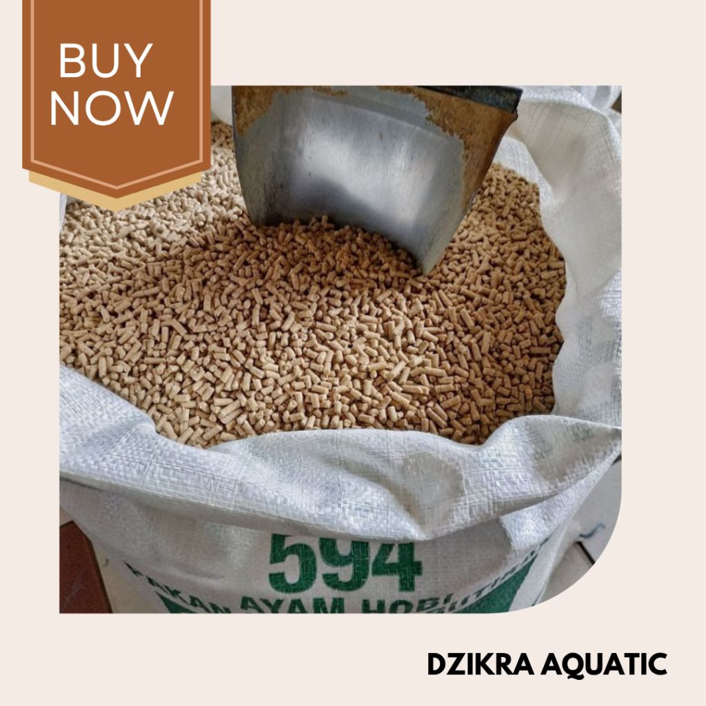 Voer Pakan Ayam Petulang Dewasa Hi Pro Vite 594