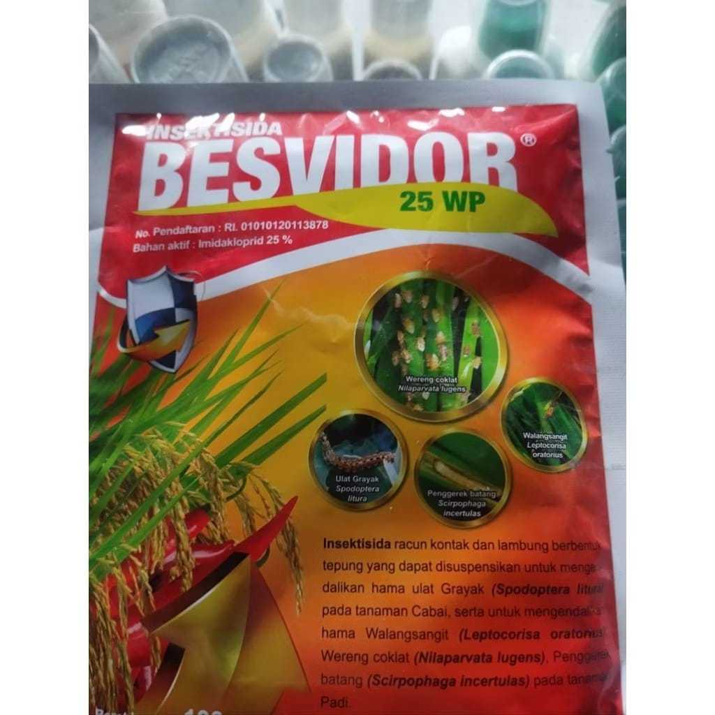 Insektisida BESVIDOR 25WP 100 Gram Imidakloprid / Besvidor