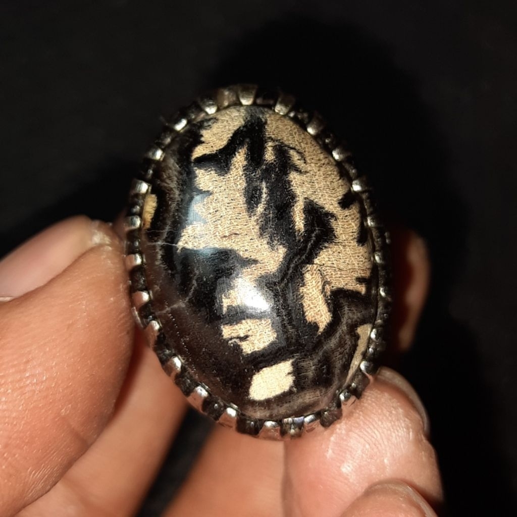 Batu akik kelor rancak bana