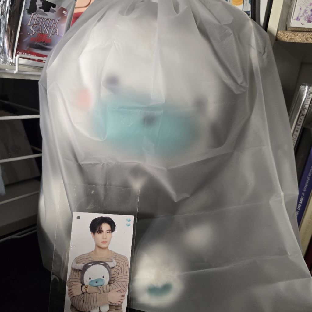 DOLL WE ARE Phuwin Pheem Doll set