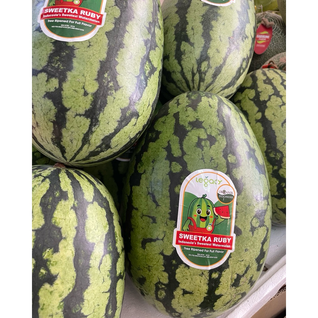 Semangka Sweetka Rubi - Semangka Merah Organic Super Jumbo - Pcs