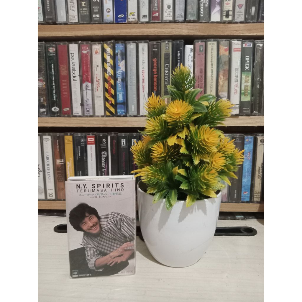 KASET JEPANG TERUMASA HINO SPIRITS