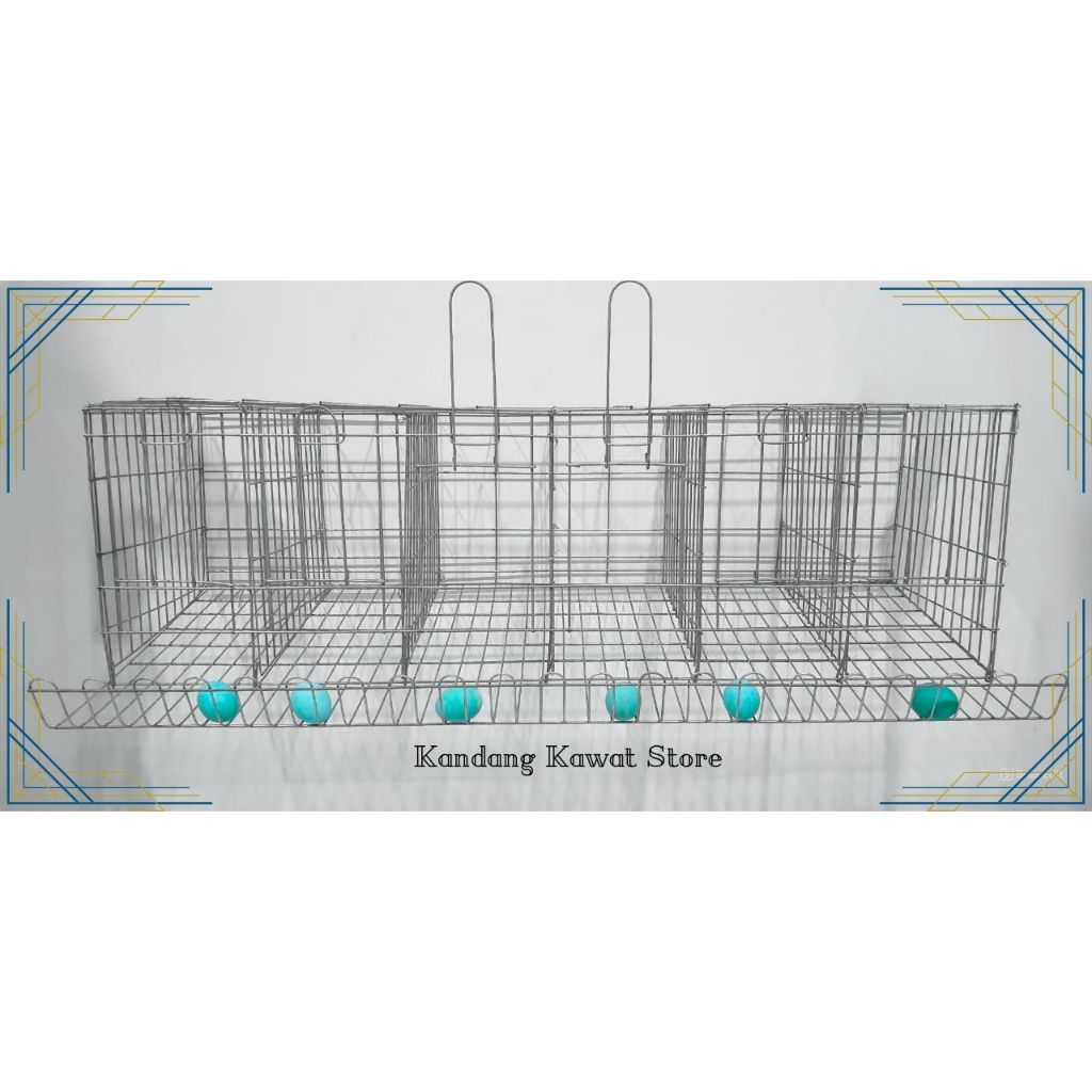 kandang ayam petelur baterai 6 pintu 6 ayam galvanis