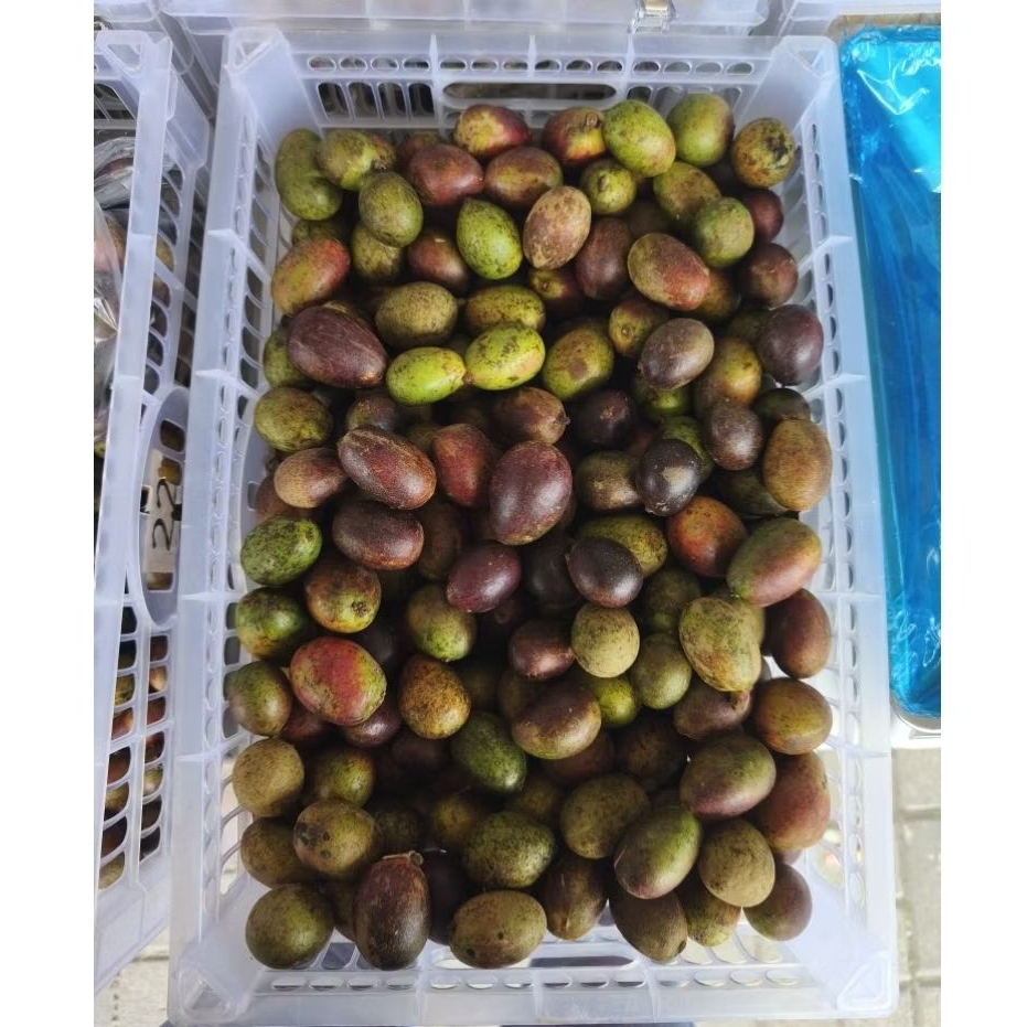 BUAH MATOA 1kg
