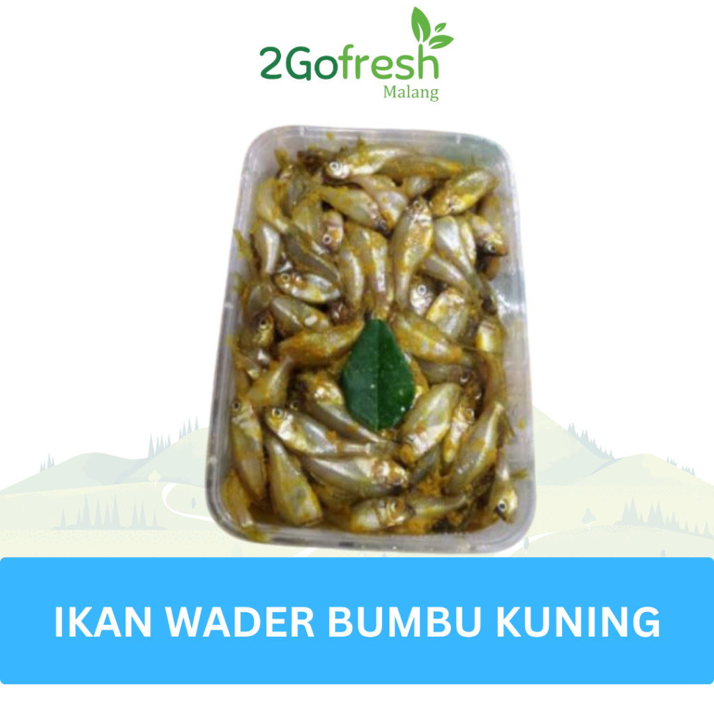 Ikan Wader Bumbu Kuning