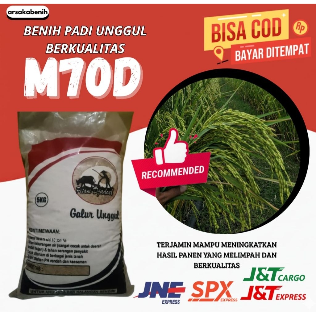 BENIH PADI UNGGUL BERKUALITAS M70D 5kg