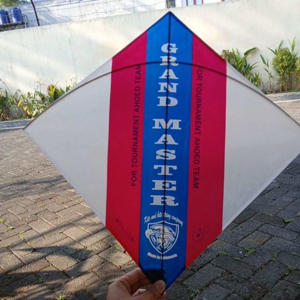 layangan Sukhoi Ahoed Dc