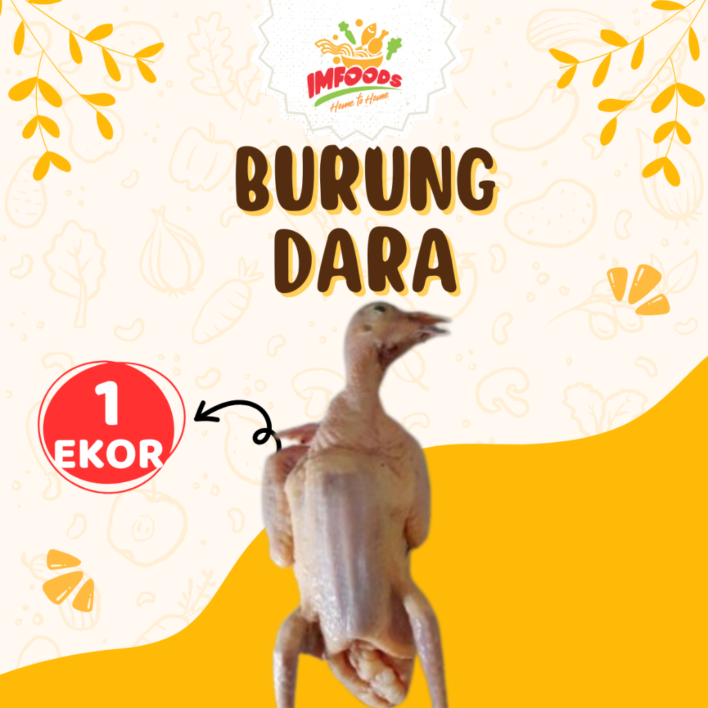 Burung dara frozen/Burung dara beku isi 1 ekor/Frozen food burung dara /burung dara mentah / Imfoods