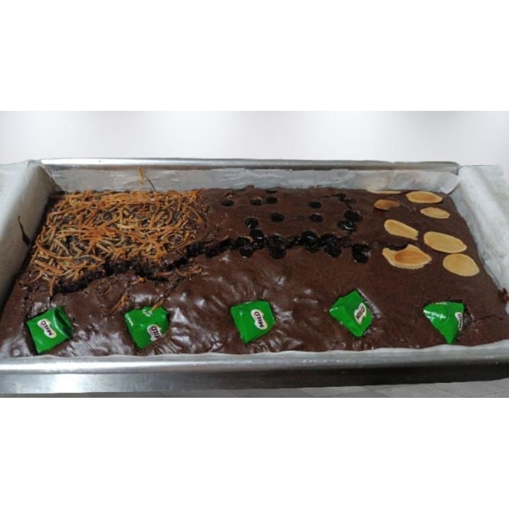 Fudgy brownies Premium 22x10