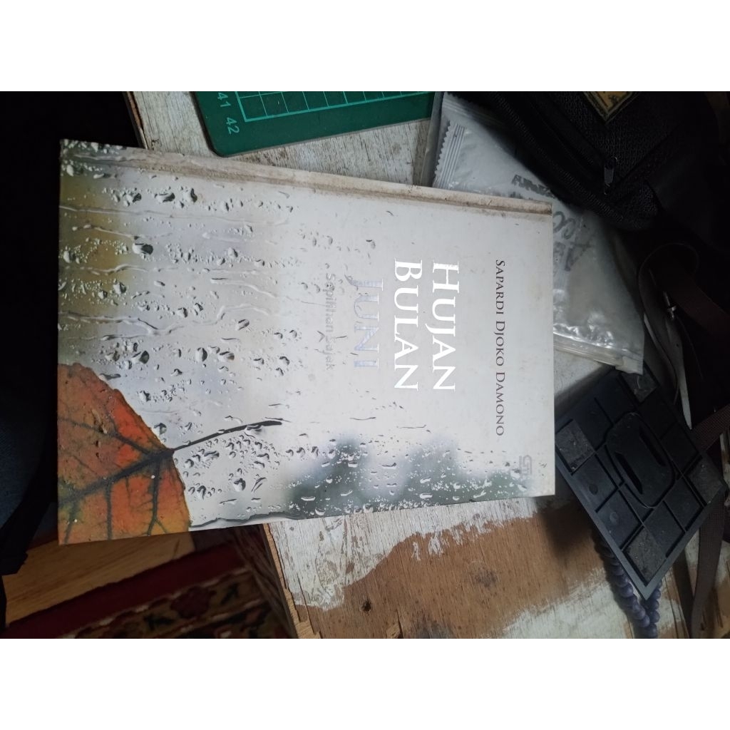buku kumpulan puisi Hujan bulan juni oleh sapardi joko damono