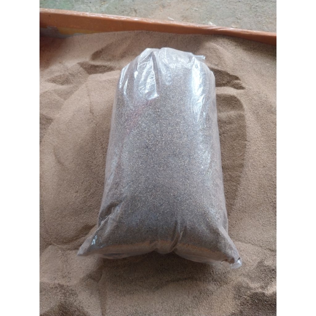 kotoran ulat hongkong