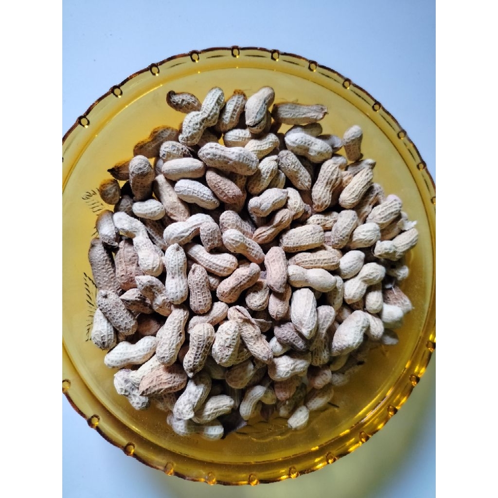 Kacang_Sangrai_Gurih asin