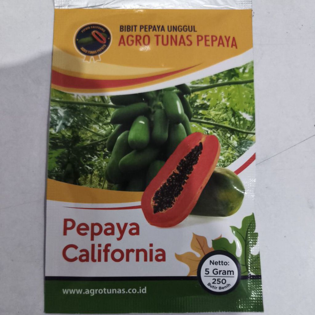Agro Tunas  - 250 Butir Benih Pepaya CALIFORNIA exp 2027
