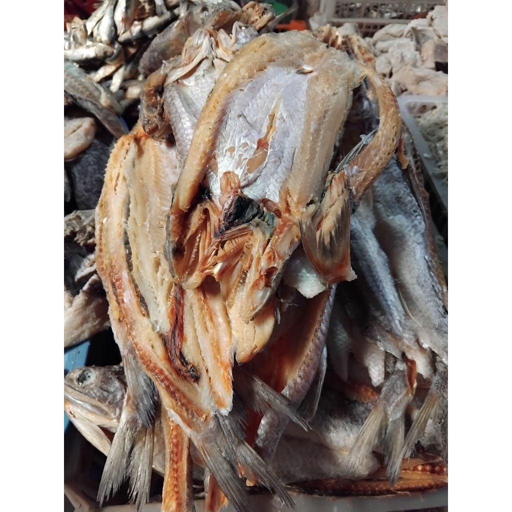 Ikan Asin Sudang Besar Kecil