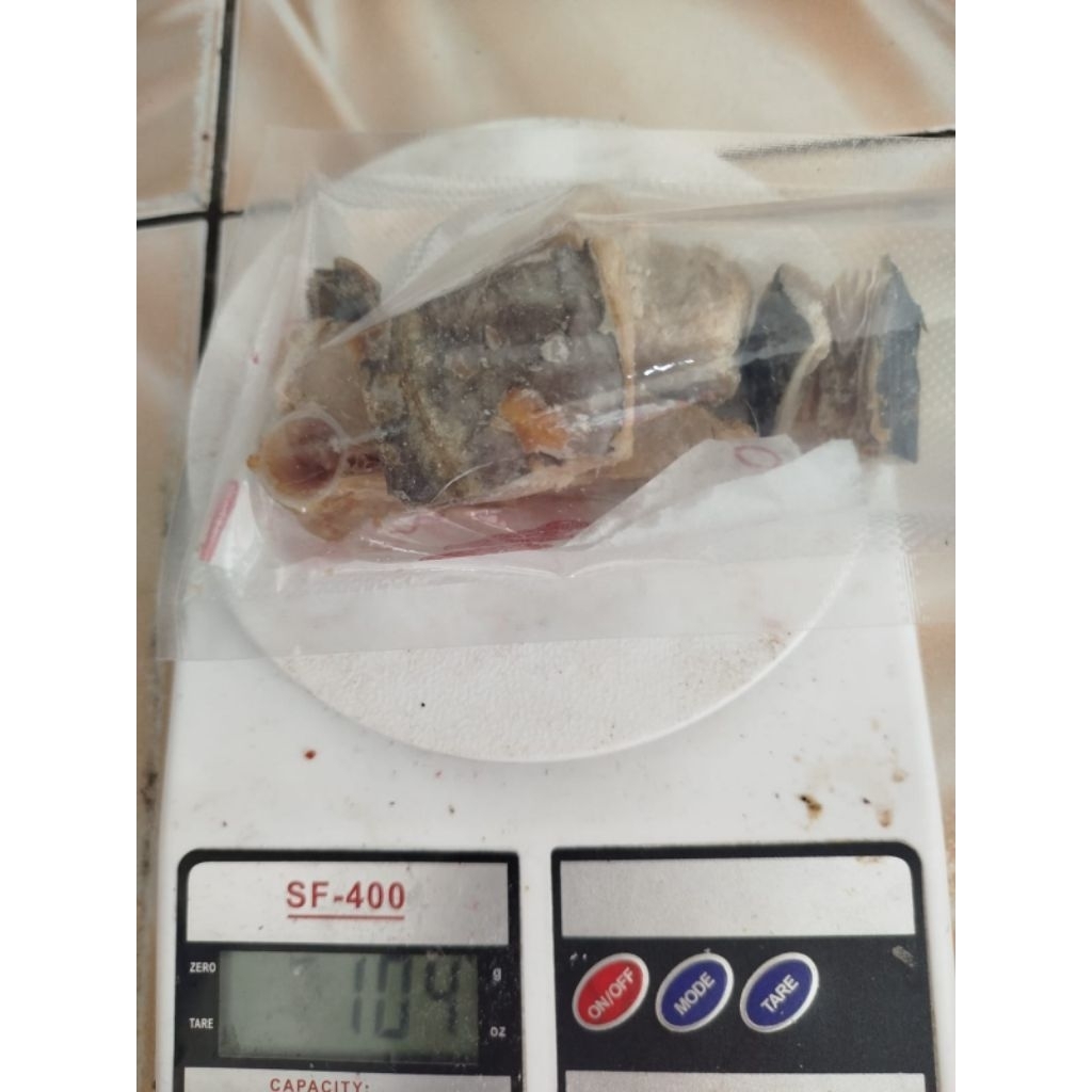 Ikan Asin Telang Tenggiri Potongan 100 gram Tanpa Kepala dan buntut