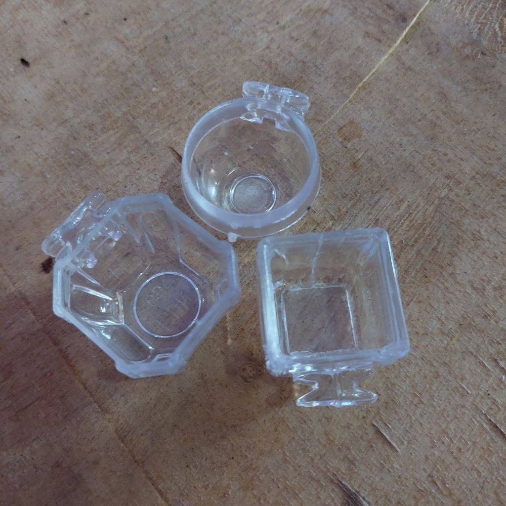 Cepuk makan minum burung pleci kolibri