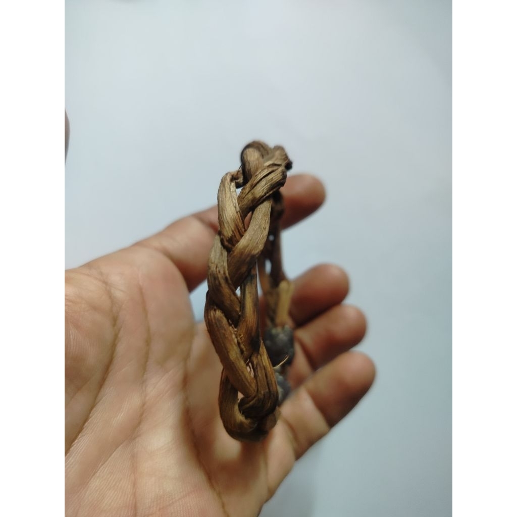 gelang tangan akar bungkang model kepang