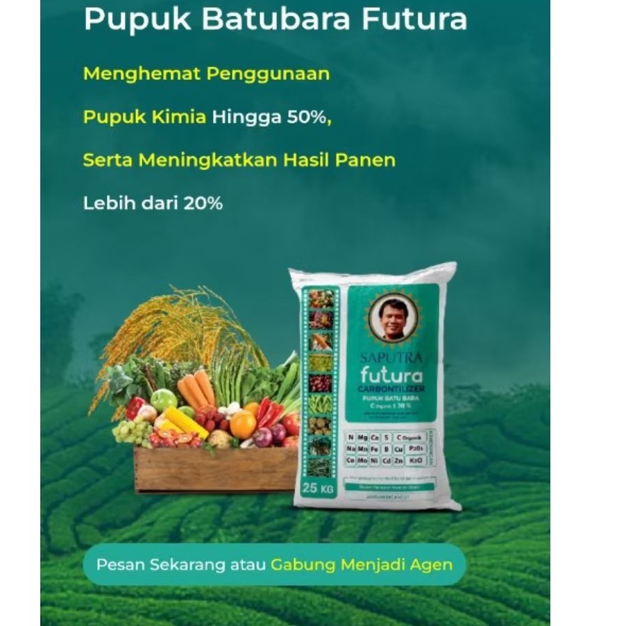 PUPUK BATUBARA FUTURA TANAH KEMBALI SUBUR PANEMELIMPAH