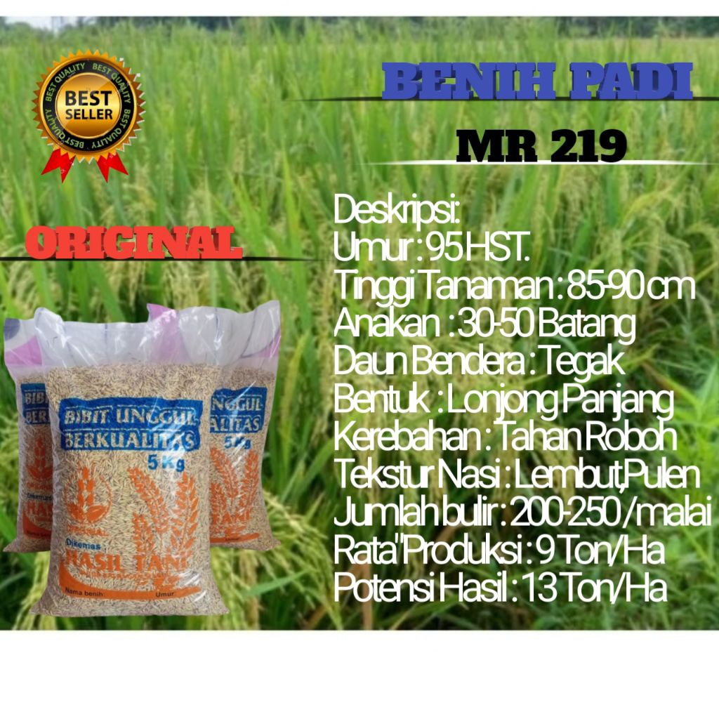 BIBIT PADI UNGGUL MR 219 5kg