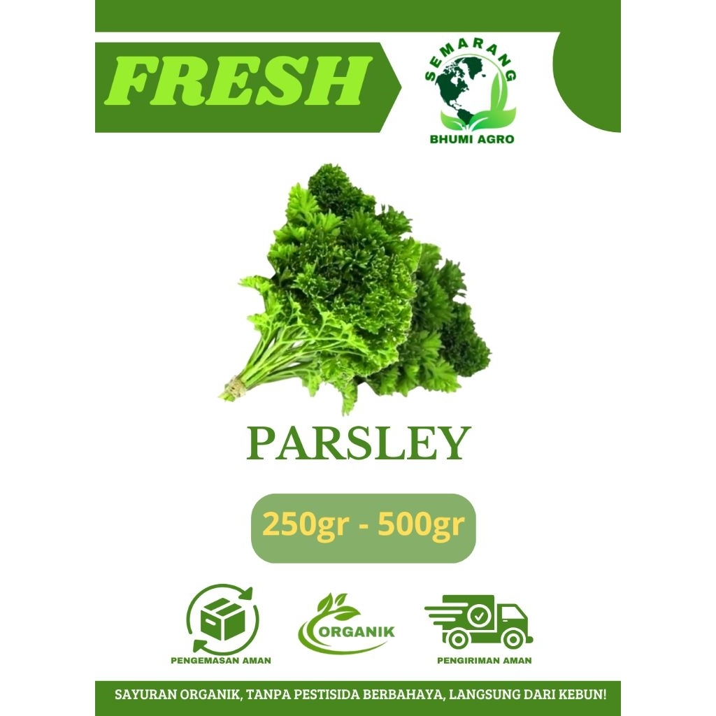 Parsley/ Peterseli Segar & Organik | BHUMI AGRO