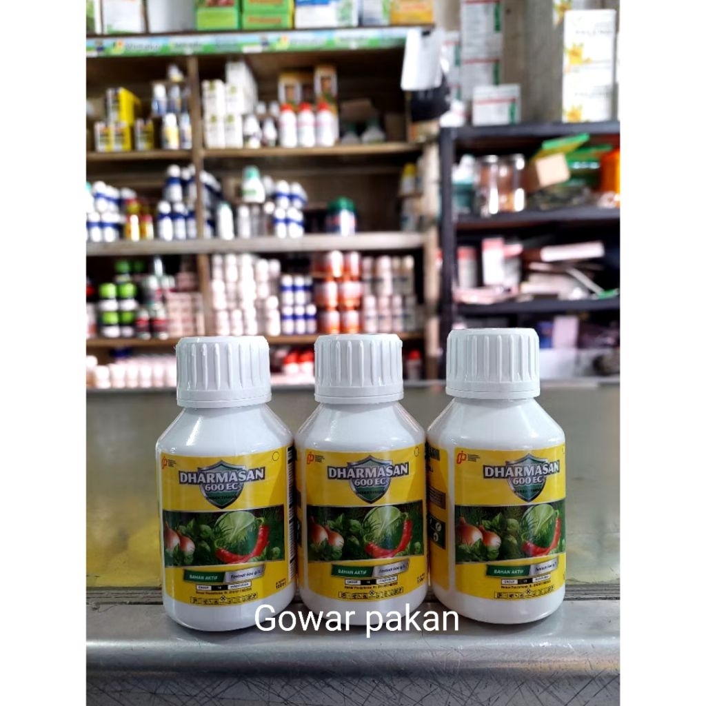 Dharmasan 600EC Obat hama atau tikus sawah 100ml