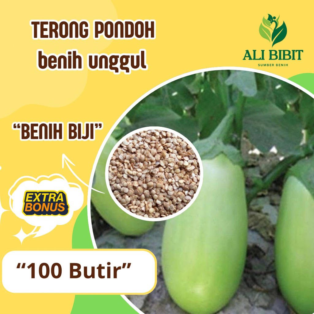 100 Butir > Biji Benih Terong Pondoh >Bibit Terong Pondoh> Bonus Benih