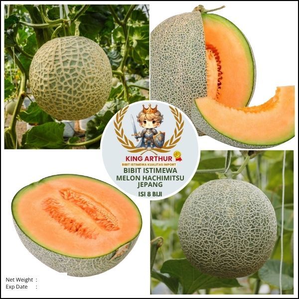 Bibit Istimewa Melon Hachimitsu Jepang | Biji Benih Melon Hachimitsu Jepang