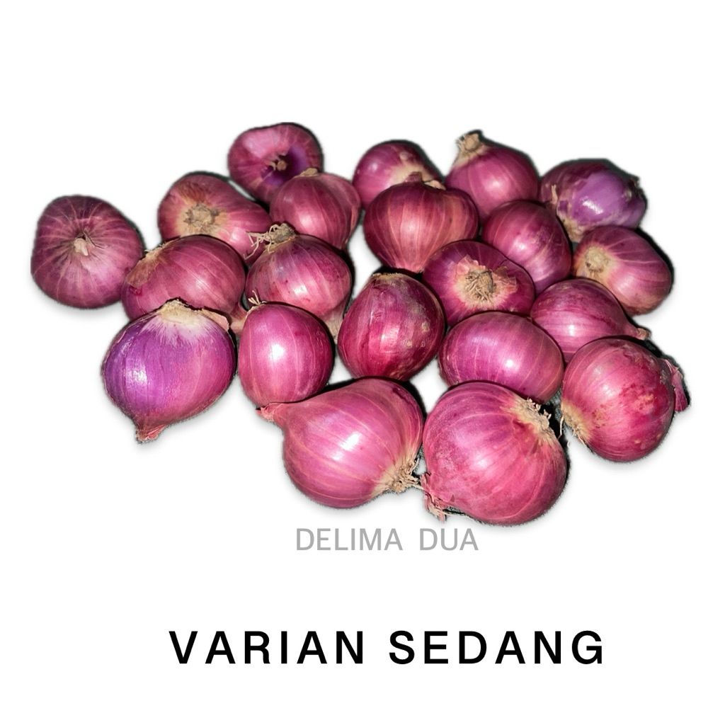 BAWANG MERAH BIMA SEDANG BERKUALITAS 1 Kg