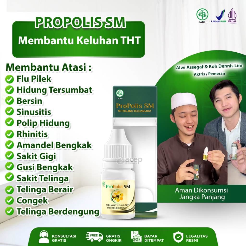 Obat Sinusitis Flu Filek Menahun Hidung Tersumbat Radang Hidung Alergi Hidung Rhinitis Polip Hidung 