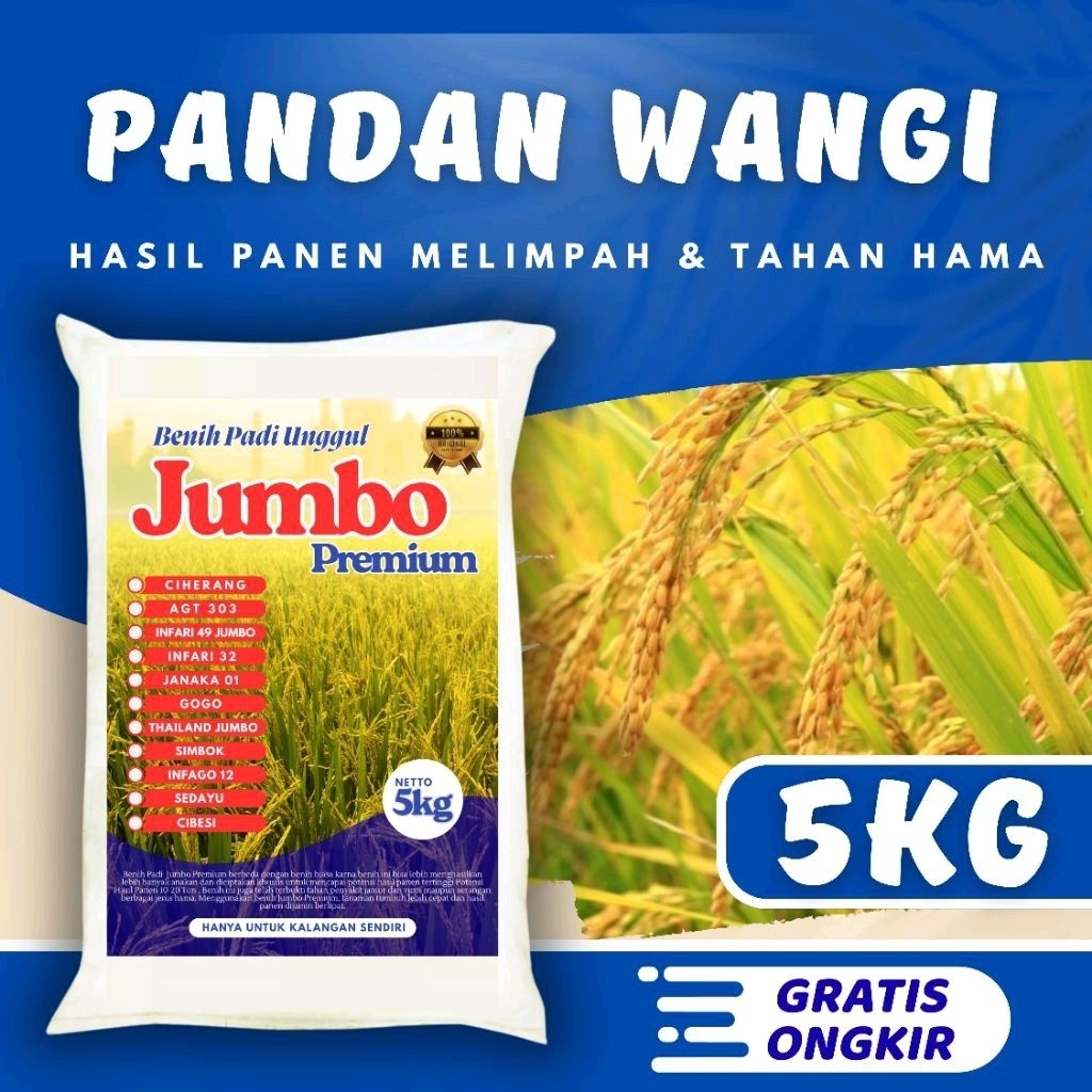 BIBIT BENIH PADI PANDAN WANGI KEMASAN 5KG