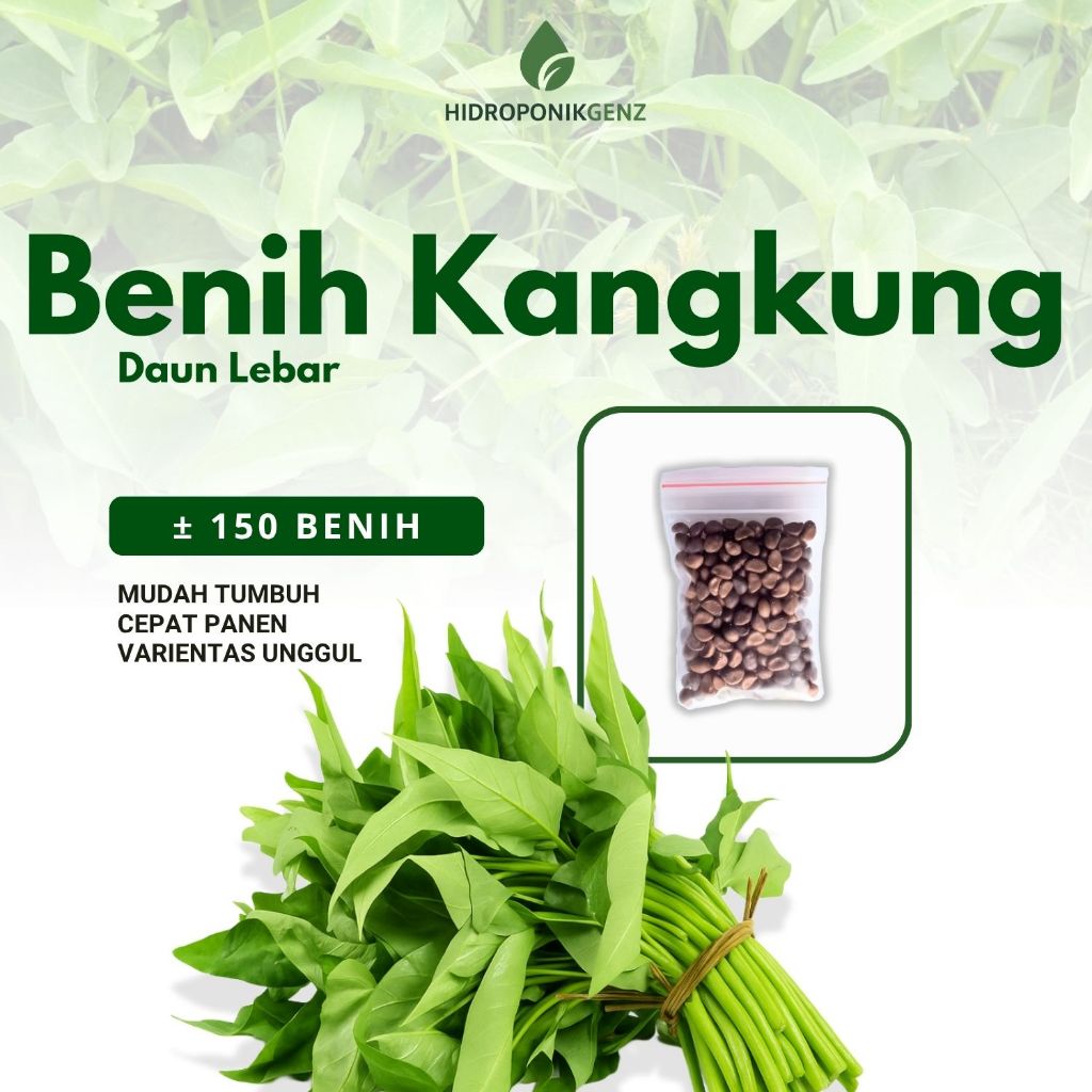 160 Biji Benih Bibit Tanaman Sayuran Kangkung Daun Lebar Hidroponik Unggul Rajawali / Benih Kangkung