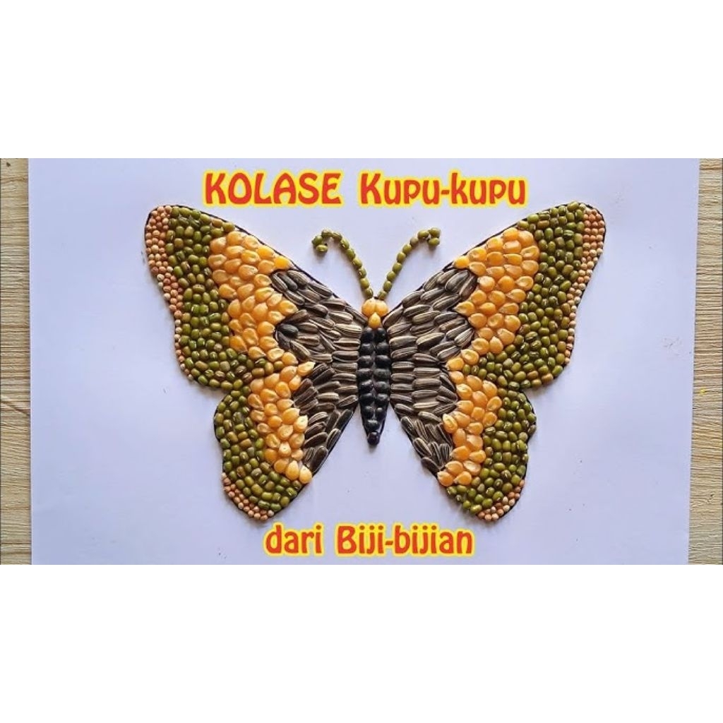 ready cod kolase bijian kupu-kupu kalimantan