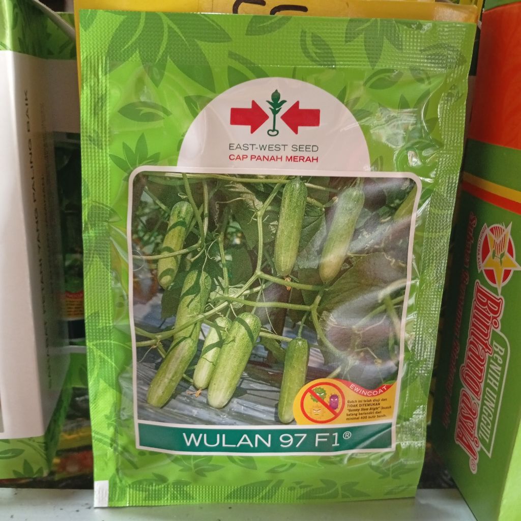 benih timun wulan 97 f1 800 butir