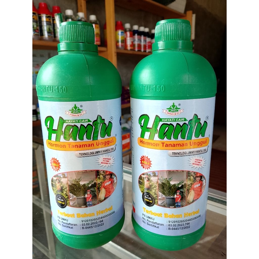 Pupuk JIMMY Hantu ZPT (1 Liter) - Masa Pertumbuhan