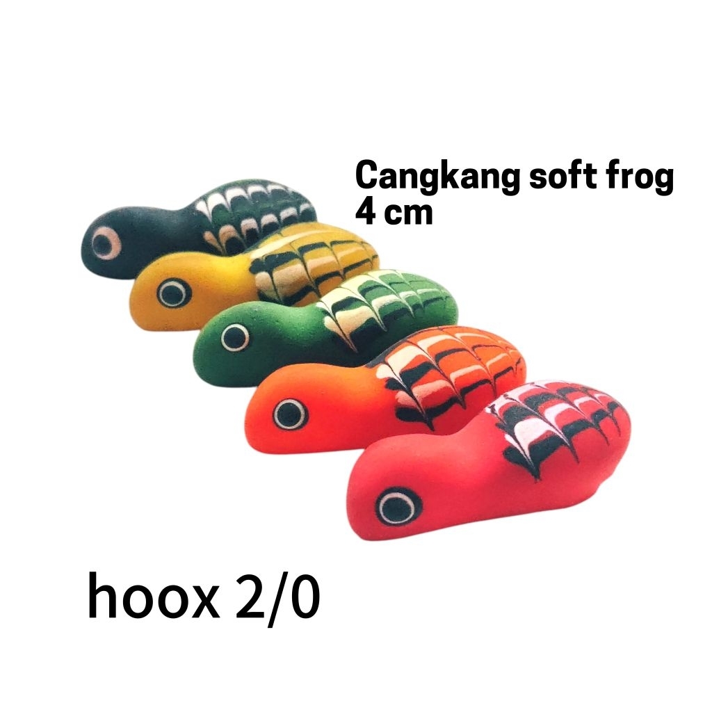 Cangkang soft frog panjang 4cm