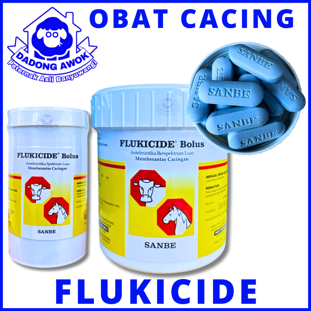 FLUKICIDE 12 BOLUS - FLUKICIDE 42 BOLUS - SANBE OBAT CACING HATI, CACING PITA CACING PARU-PARU SAPI