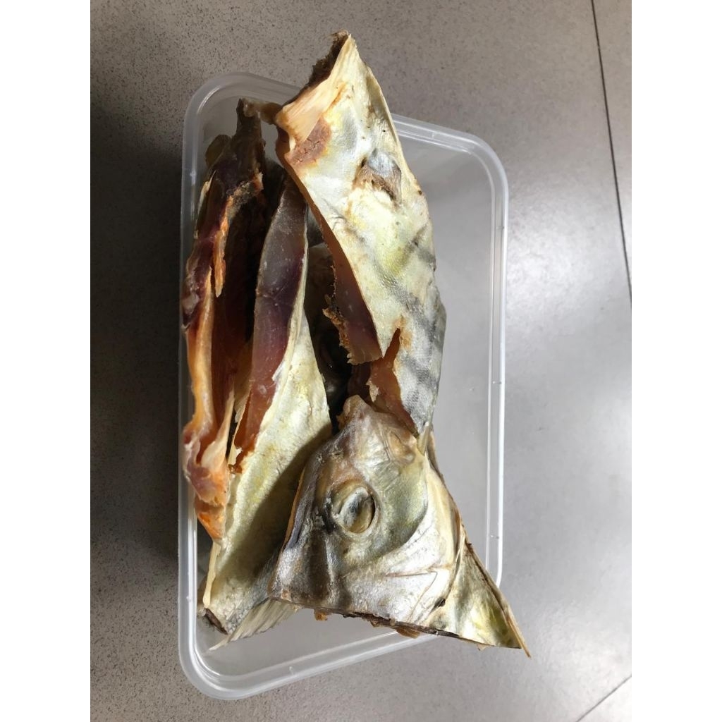 TRAKULU/TONGKOL KUNING tabanio . 1/4kg per box .  pasti termurah insya allah kualitas super