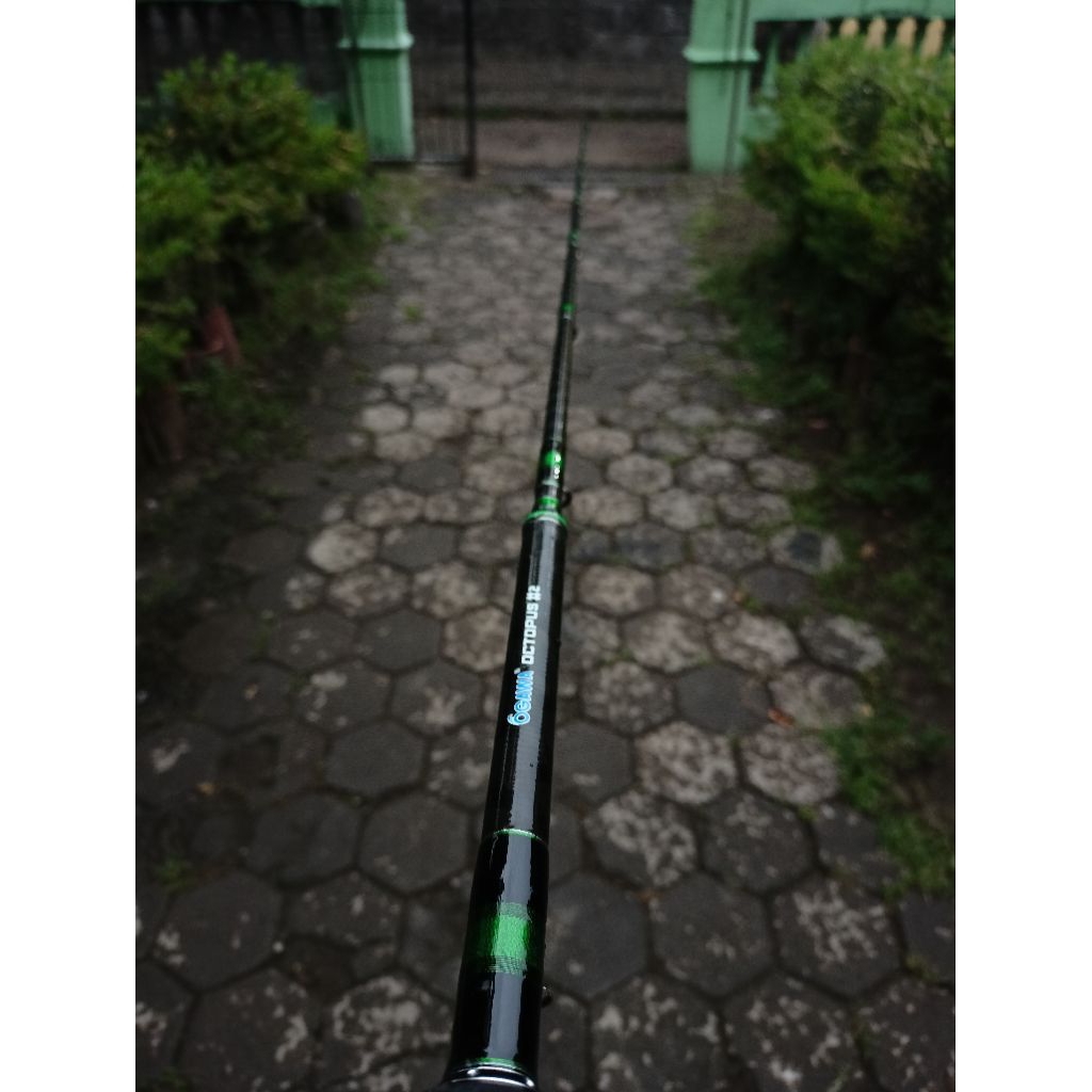 joran besutan Ogawa Octopus