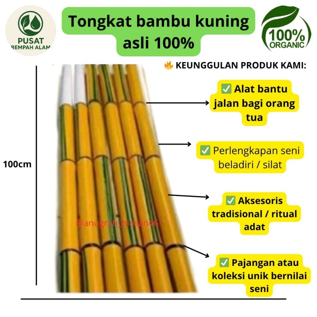 tongkat bambu kuning 1meter 100%asli alami