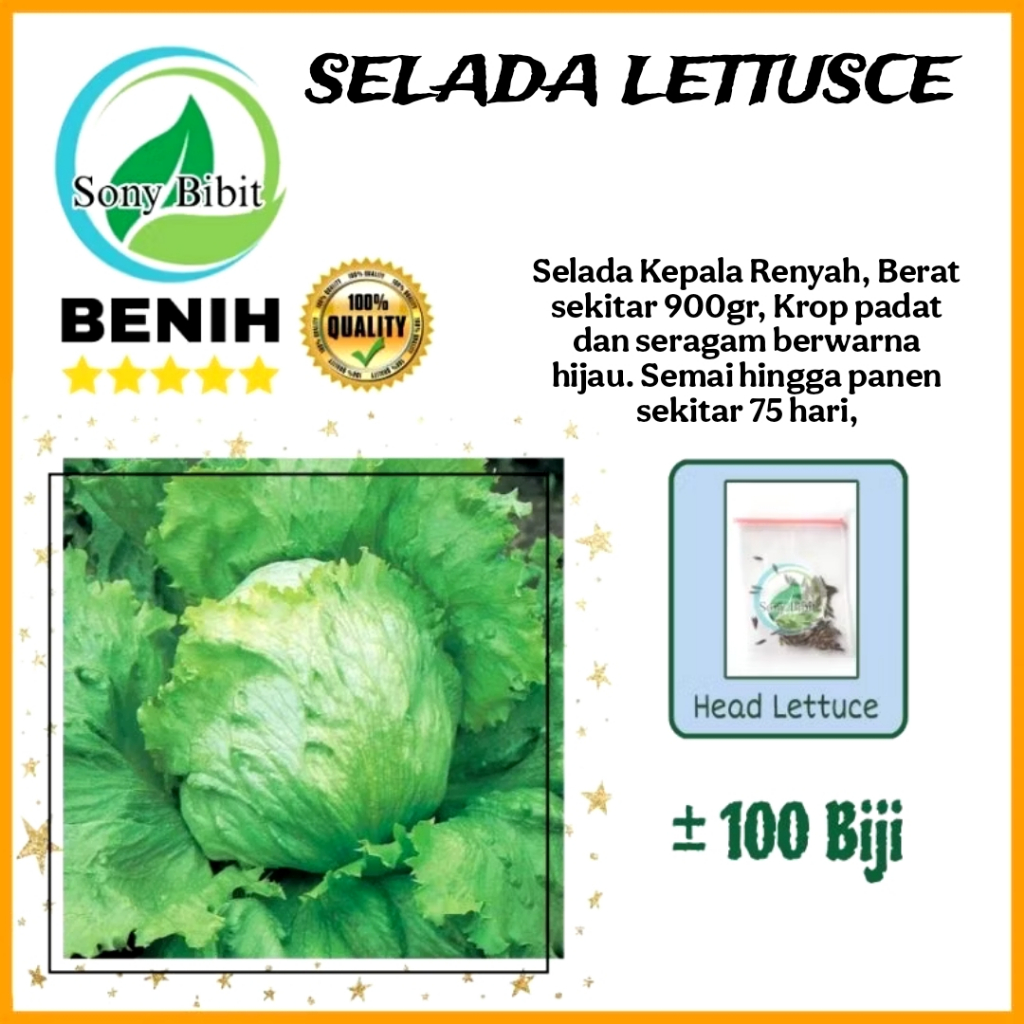 Benih Selada Heat Lettuce Benih Ekonomis