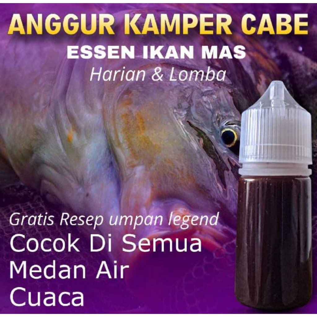 Essen Ikan Mas Paling Gacor, Essen Ikan Mas Paling Ampuh, Essen Ikan Mas Indukan, Essen Ikan Mas Har