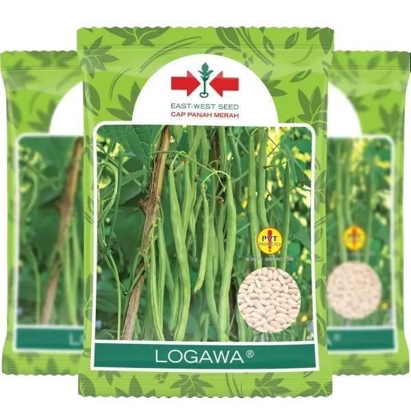 Benih Buncis Logawa 500 gr