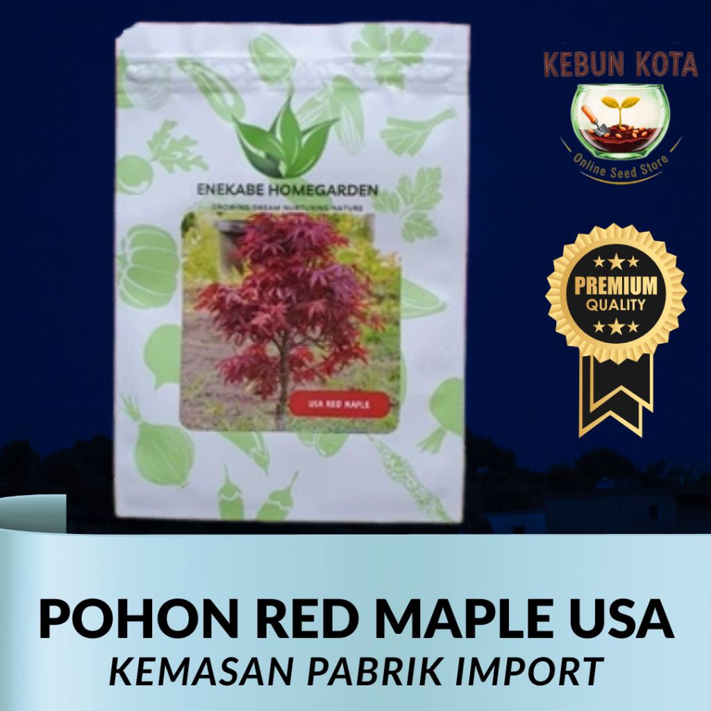 KEMASAN PABRIK IMPORT[KEBUN KOTA]-Bibit Benih Tumbuhan "POHON RED MAPLE USA"
