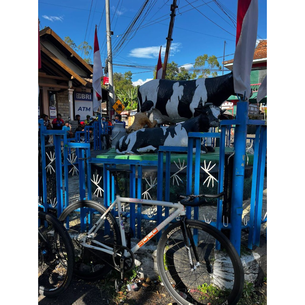 frame fixie united soloist