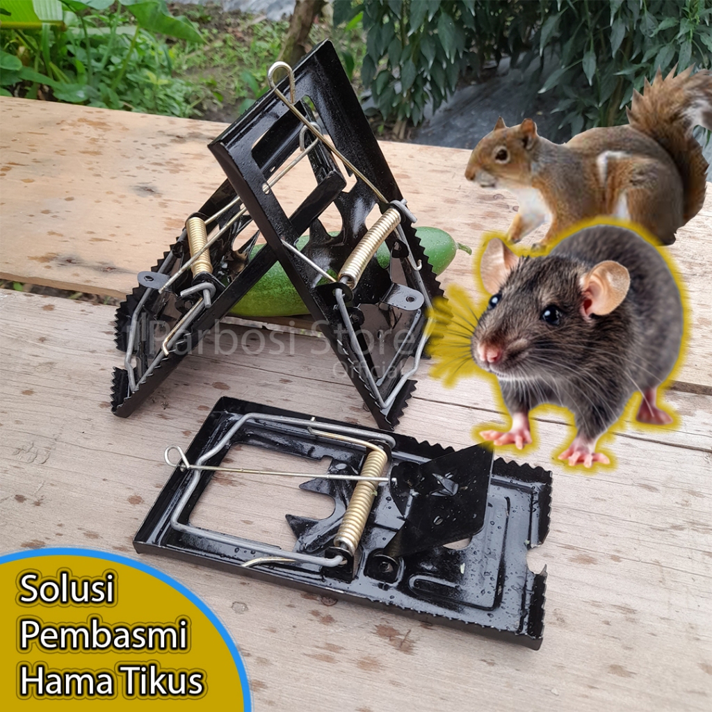 Sigasip Perangkap Hama Tikus dan Tupai