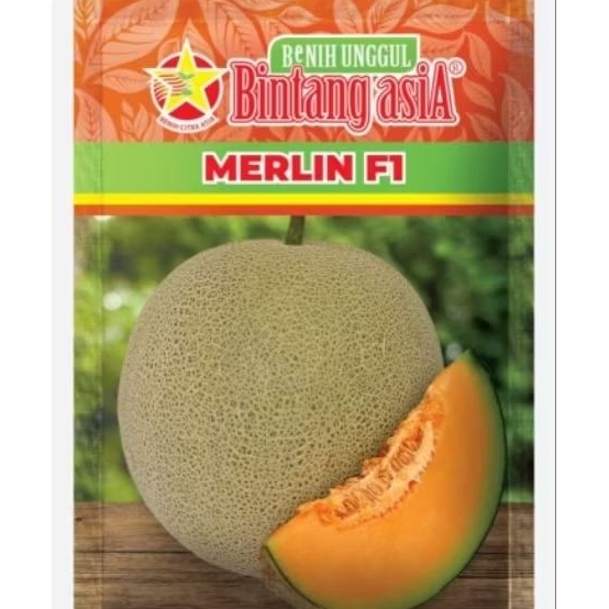 benih melon MERLIN F1 isi 0,5gr/benih unggul bintang asia