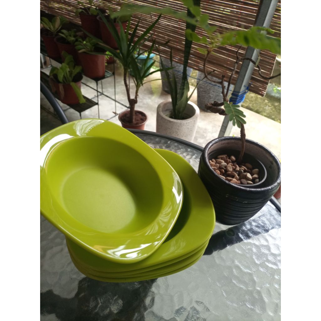 Blossom Bowl Tupperware